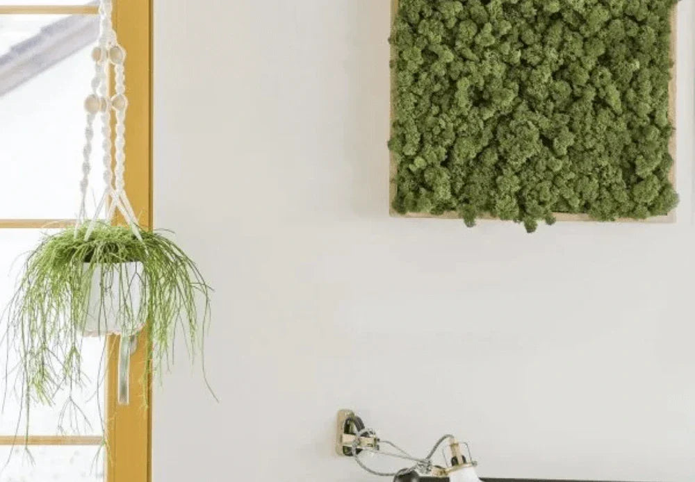 What is the right air humidity?